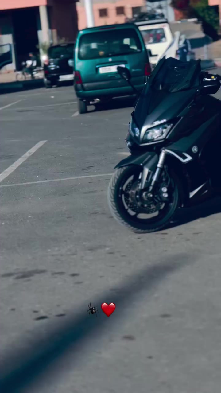 @โ๏ธ๐King_Moto_Dz_16๐โ๏ธ