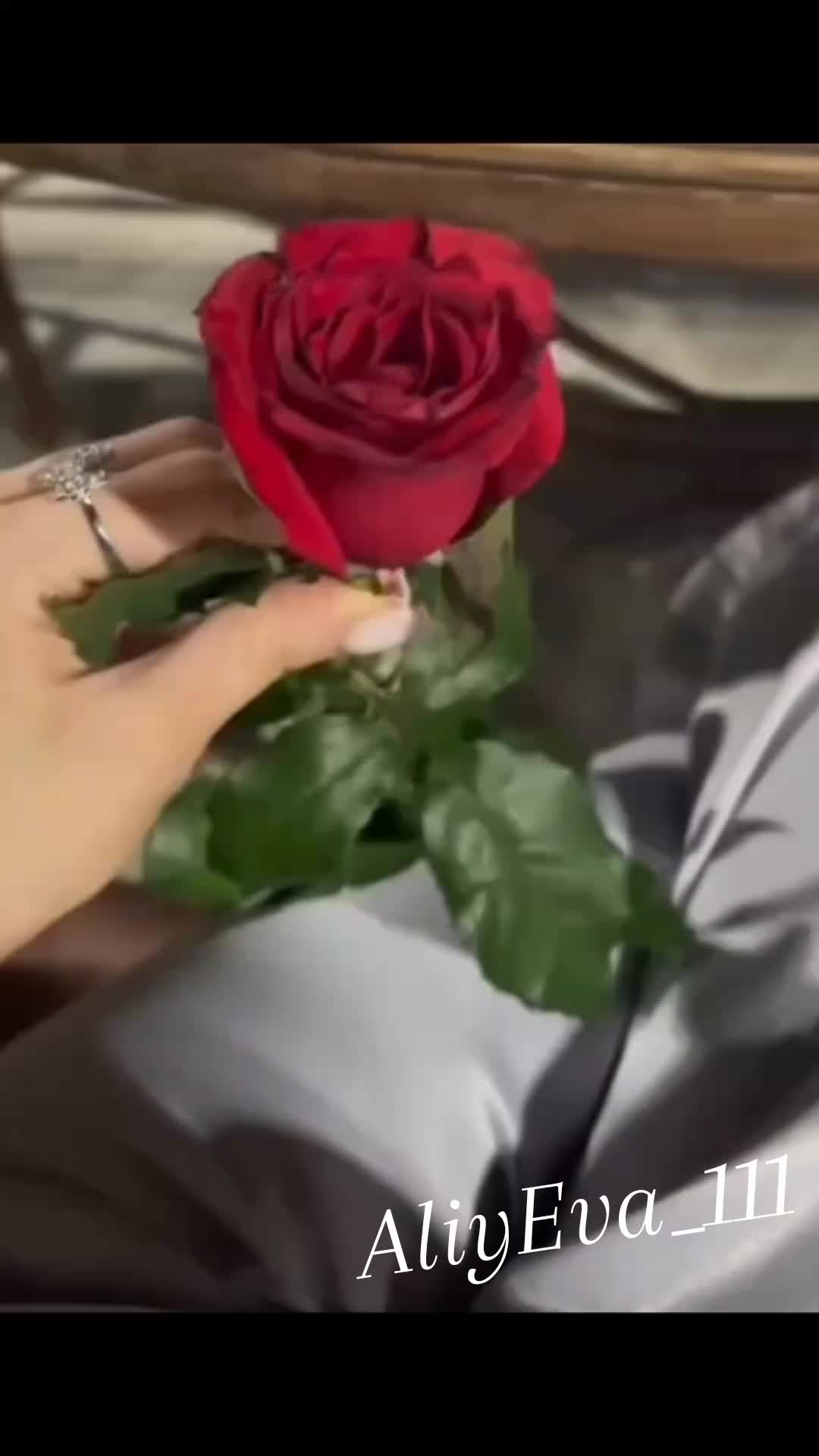 @🌹🌹🌹