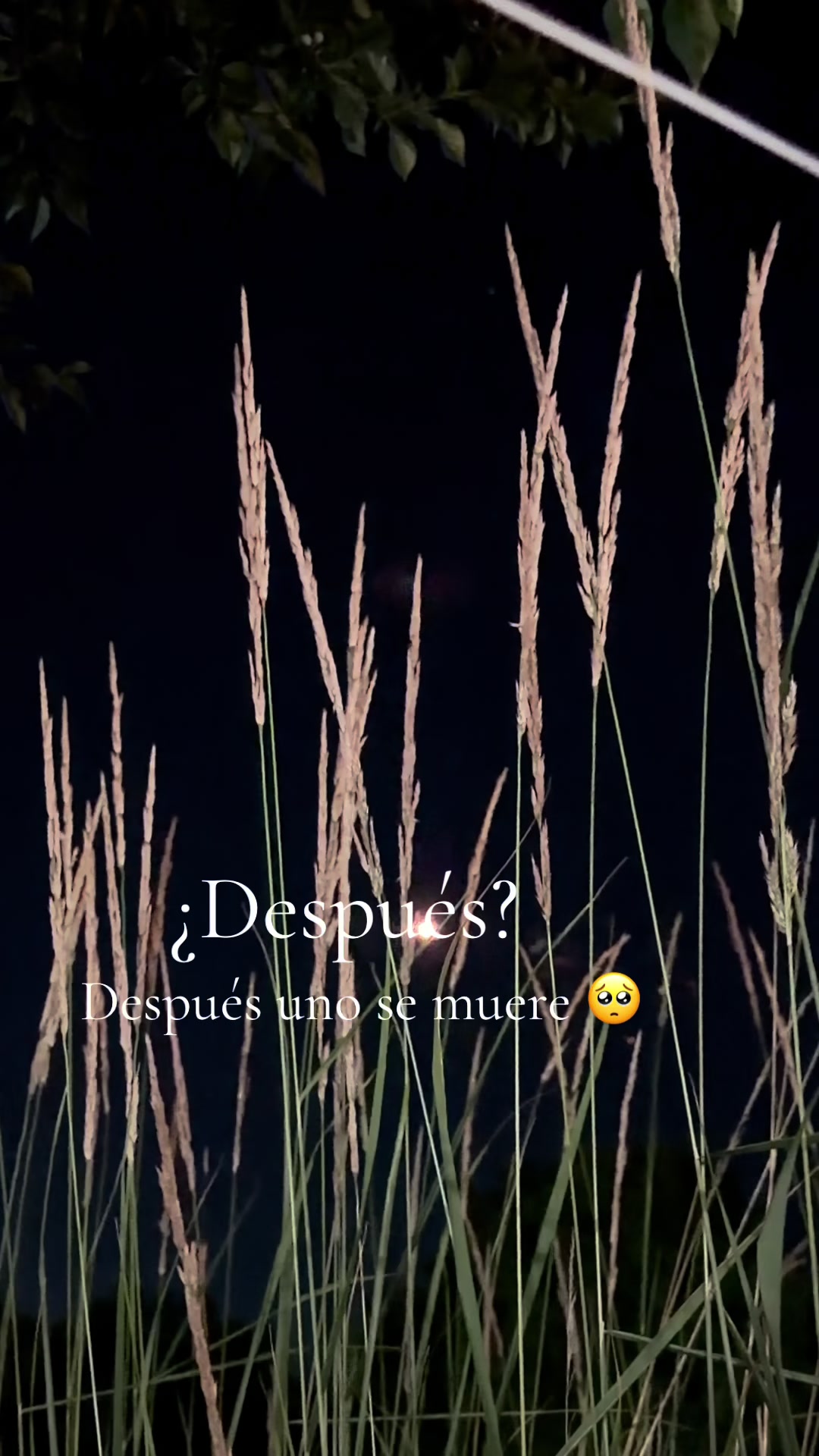 @𝓚𝓪𝓽𝓲𝓪 𝓩𝓪𝓻𝓪𝓽𝓮