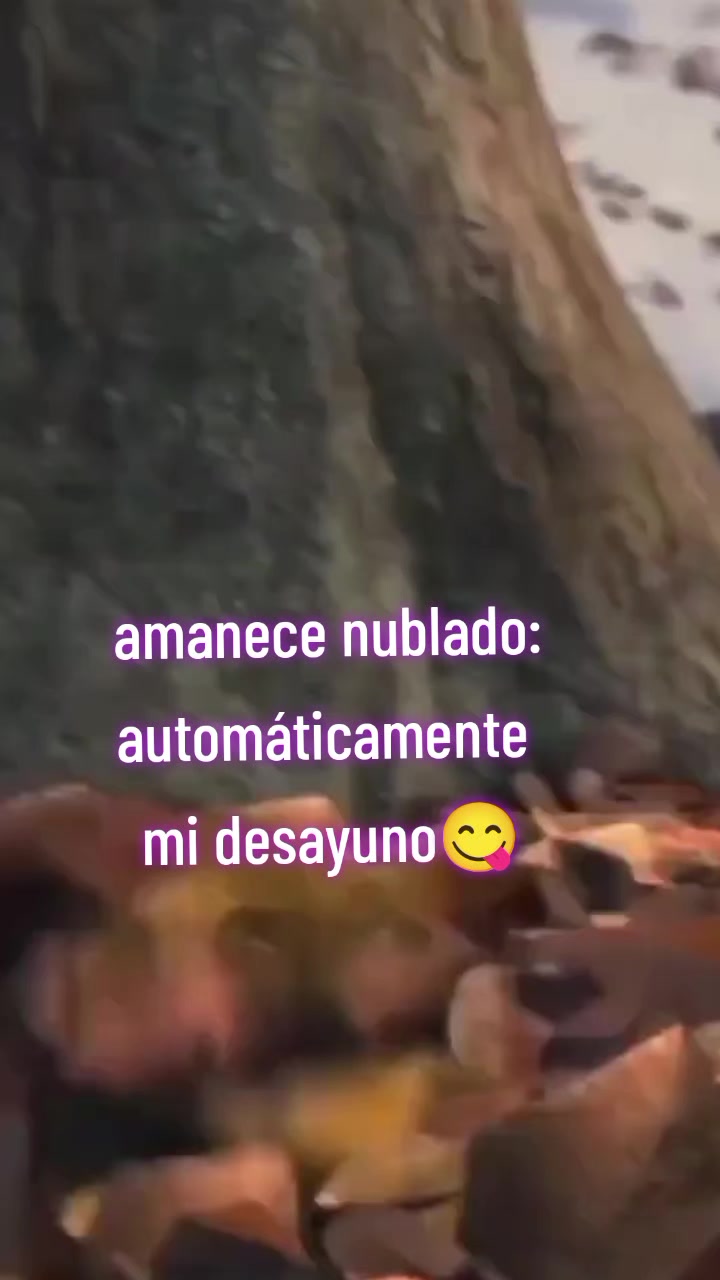 @🔮bruja🧹atnaxs🌒🌕🌘