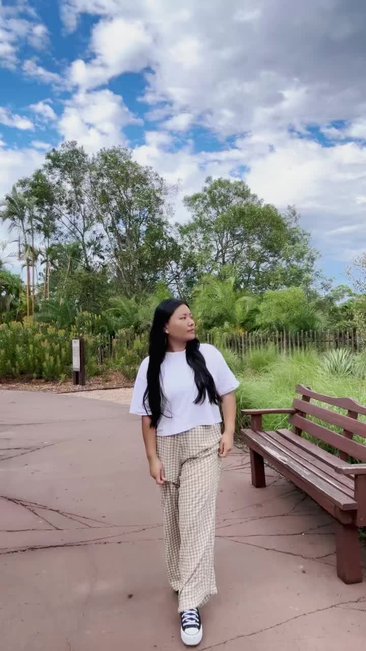 @T🐷