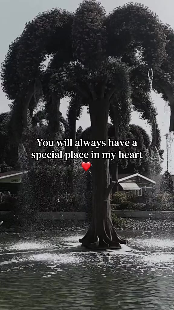 @DS Quotes🫀