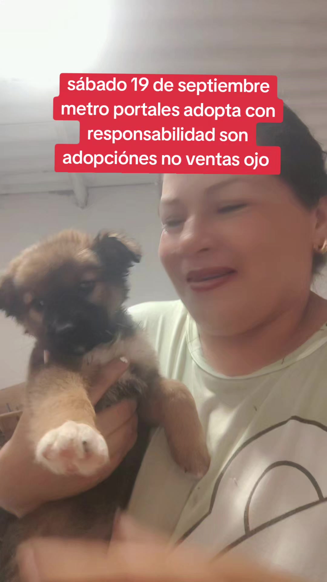 @rescate de perros guapos 😚