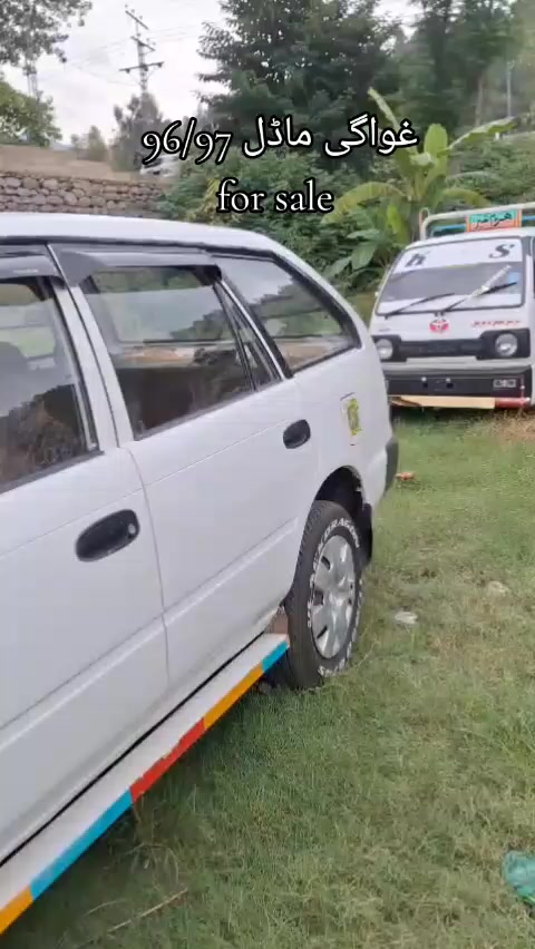 @ncpcarlover1