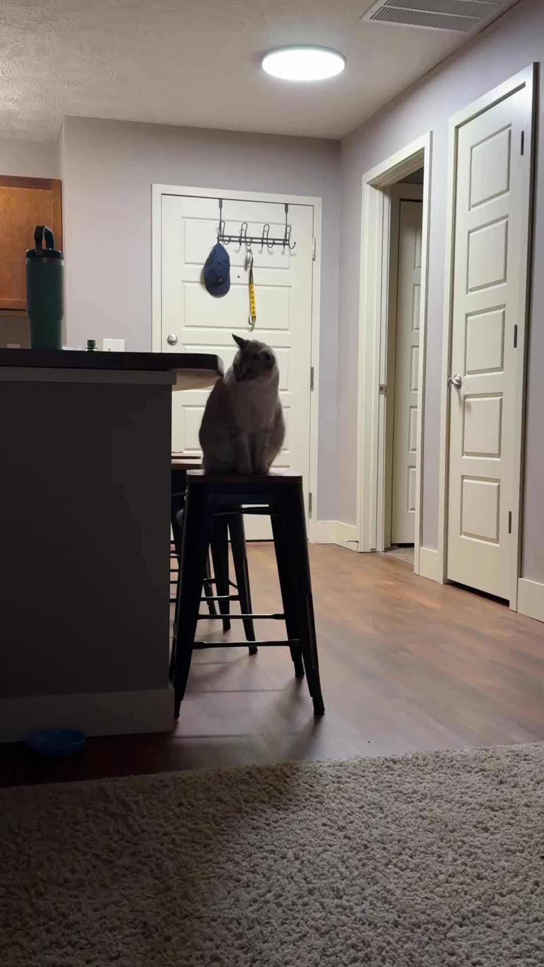 @hannabean17