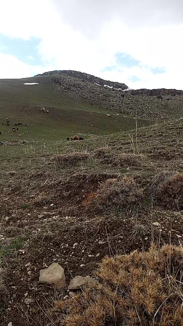 @sezer aydın