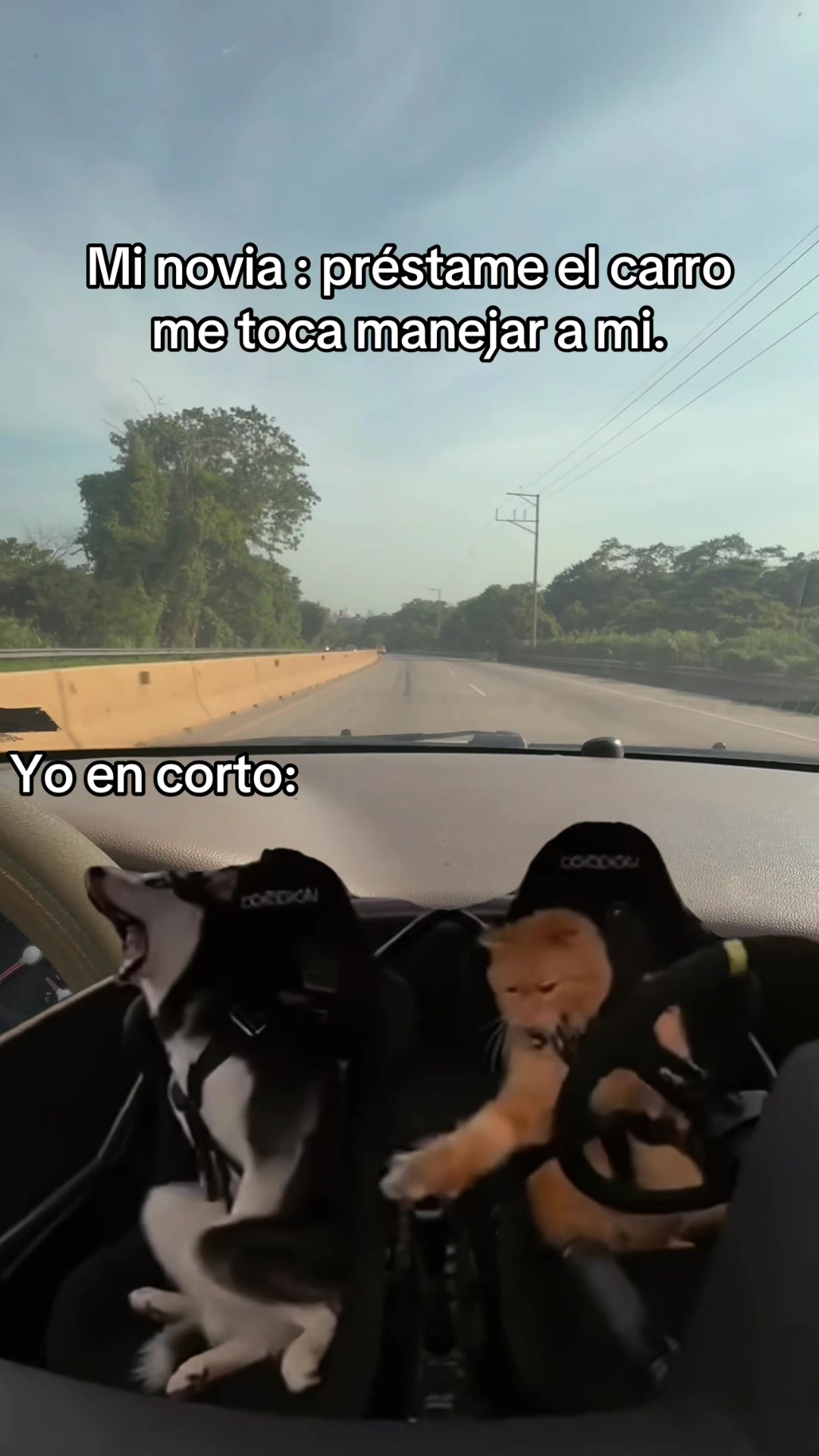 @Agonzlz🇸🇻