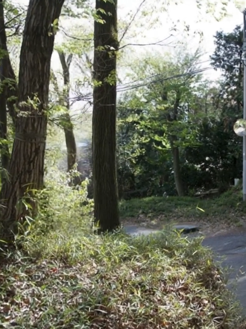 @吸鍔(すいつば)