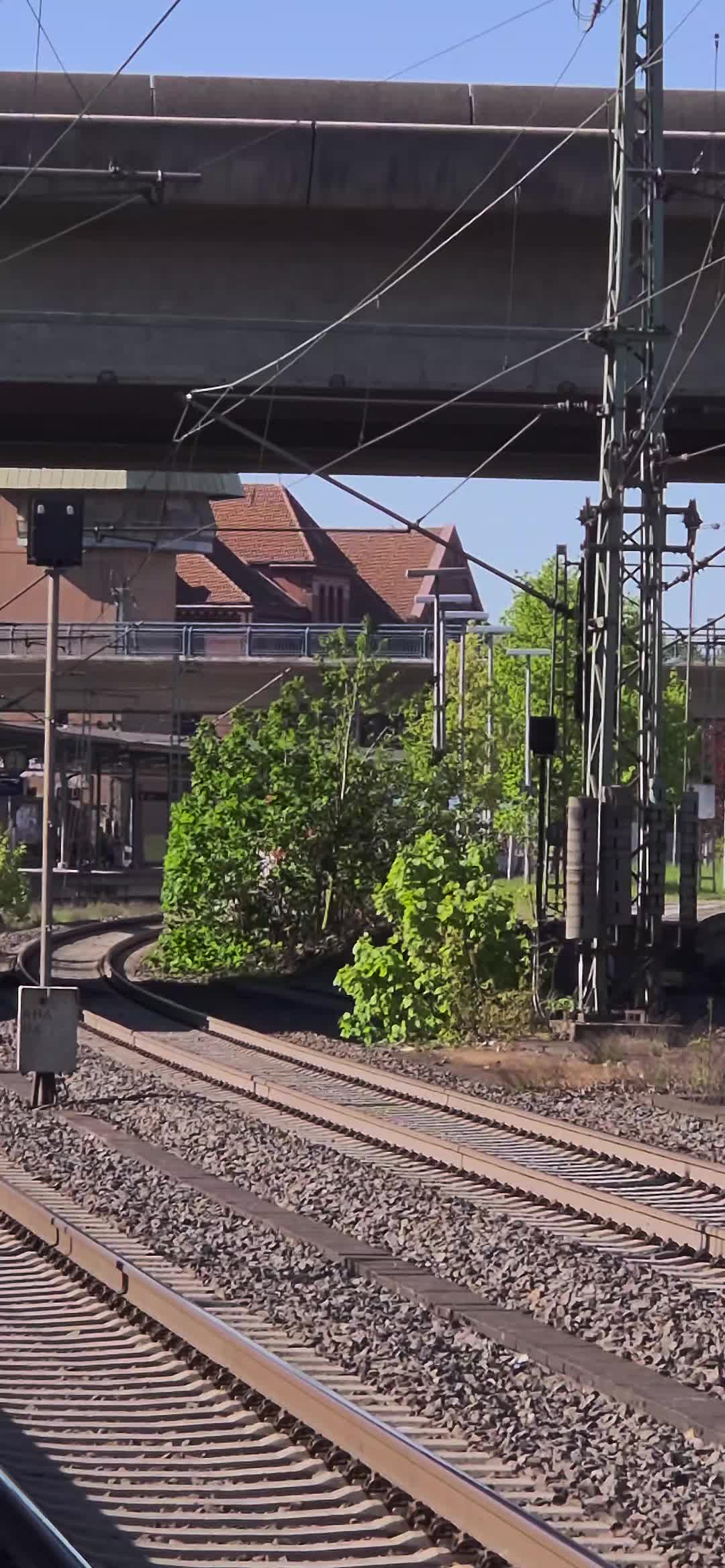 @trainspotter_krabbe