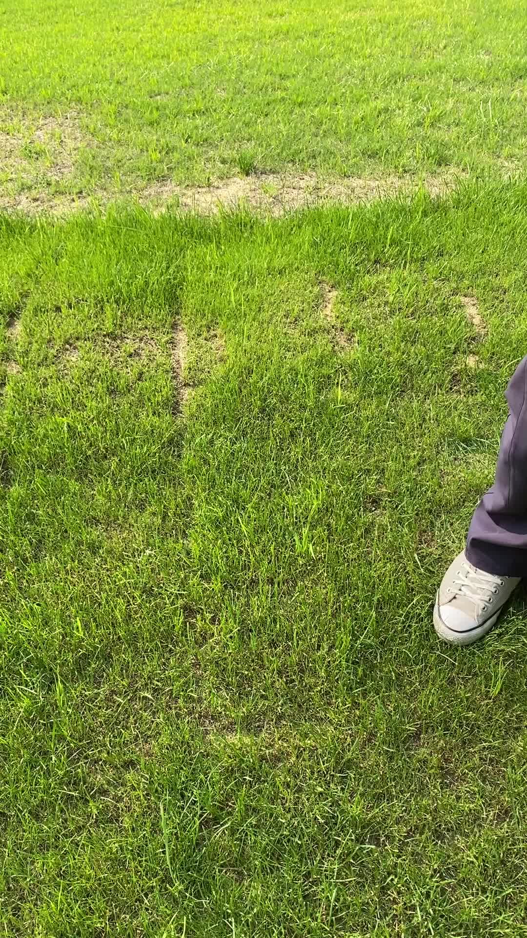 @Forrest Golf