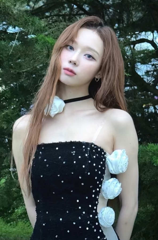 @美女図鑑!