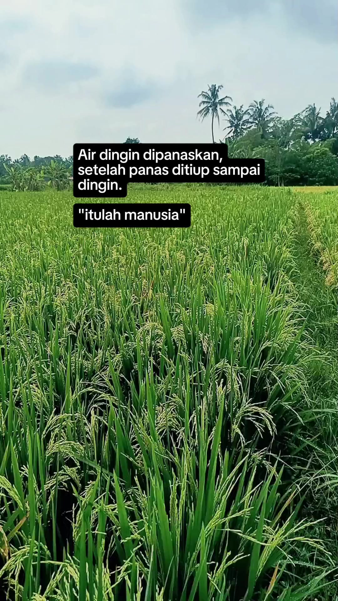 @-ikank