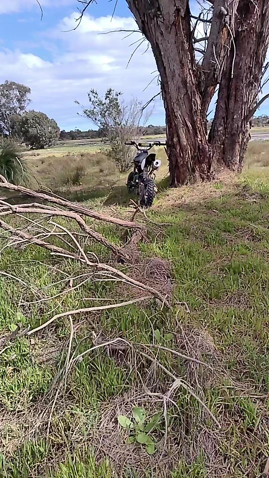 @derboi15+125cc