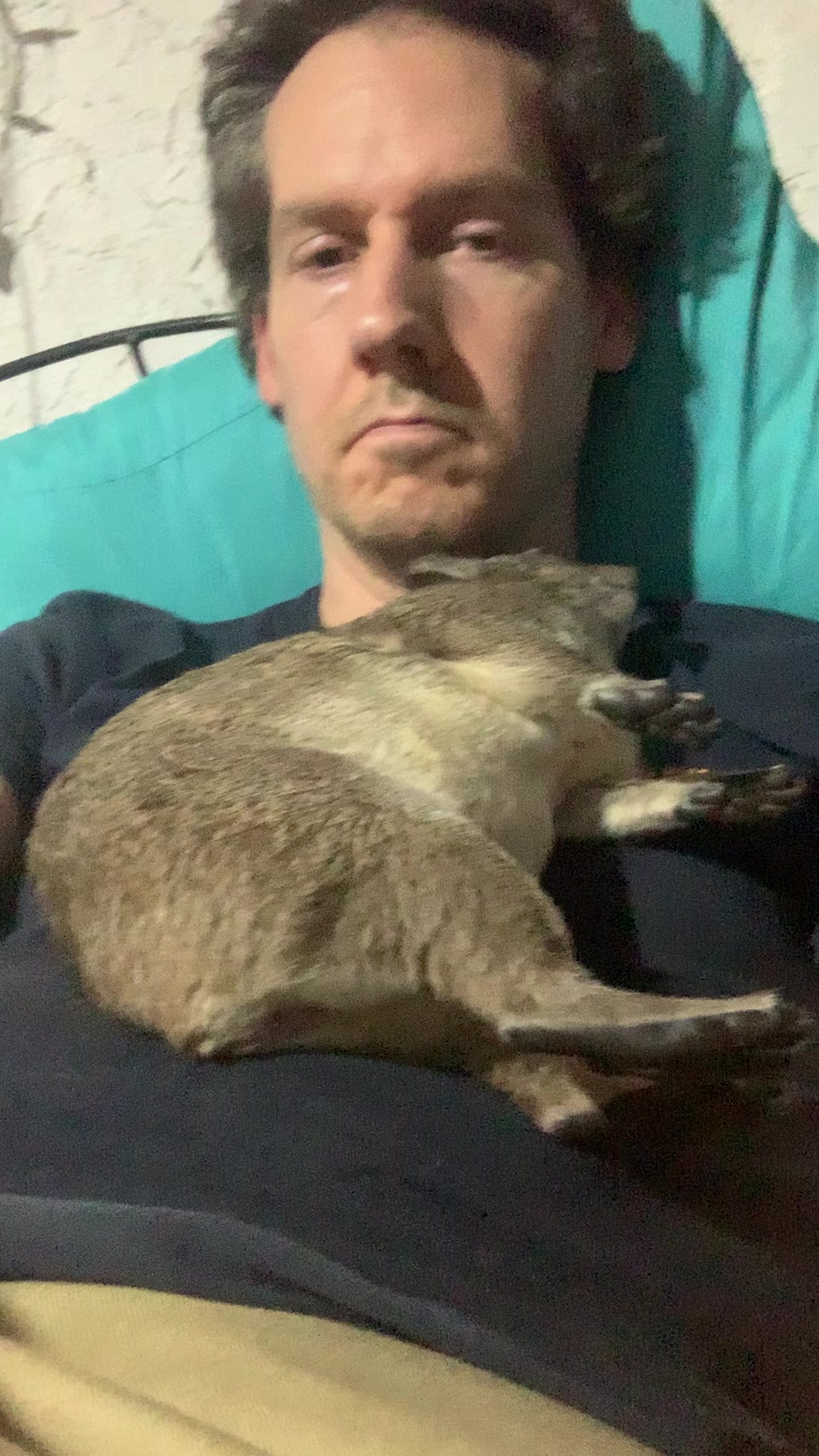 @squiggythehyrax