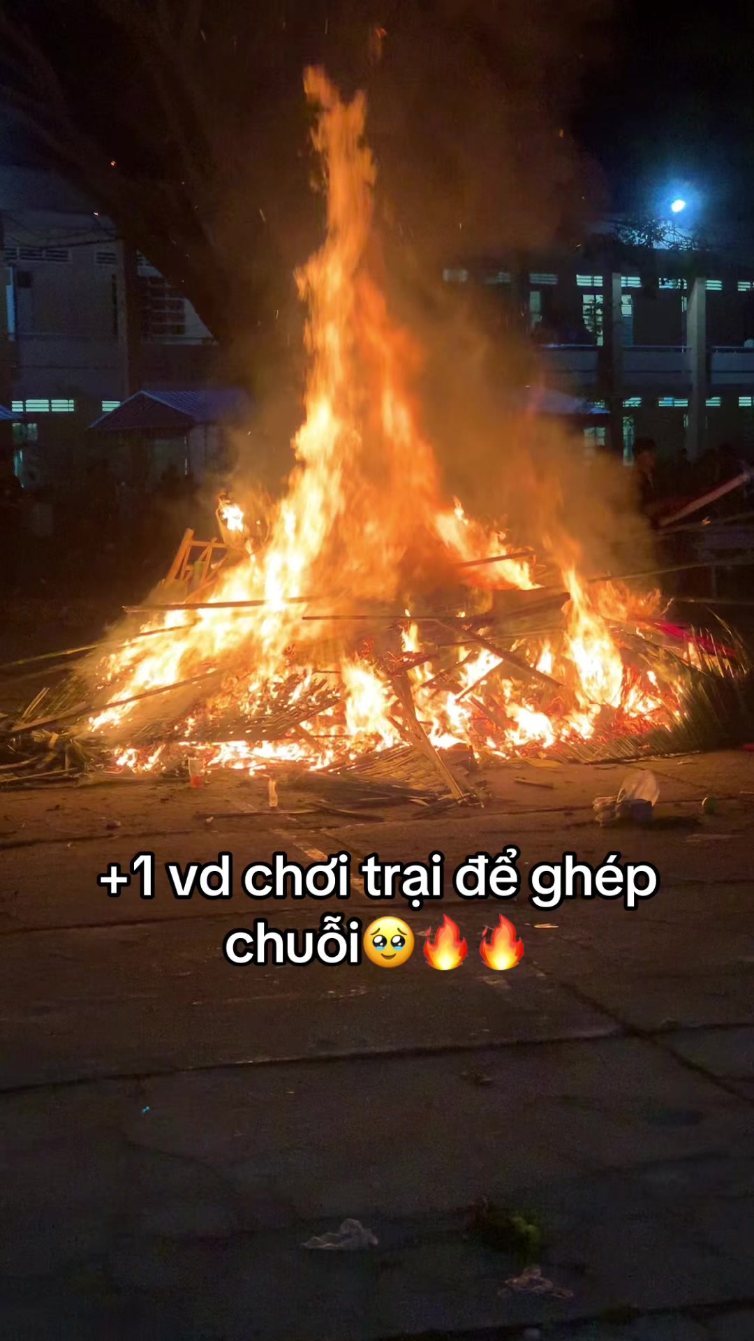 @Cao Triết