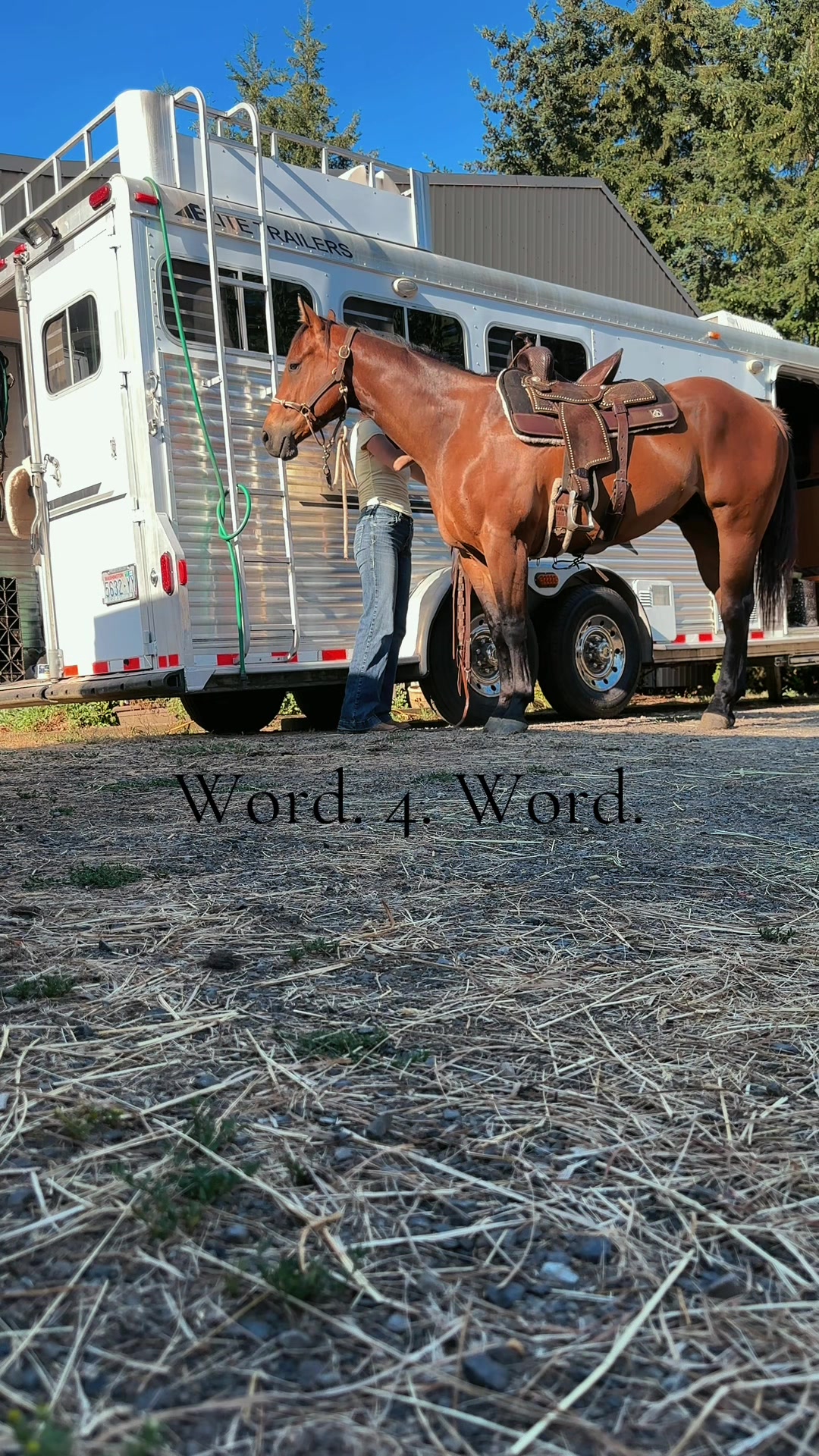 @SAMANTHA | BARREL RACING