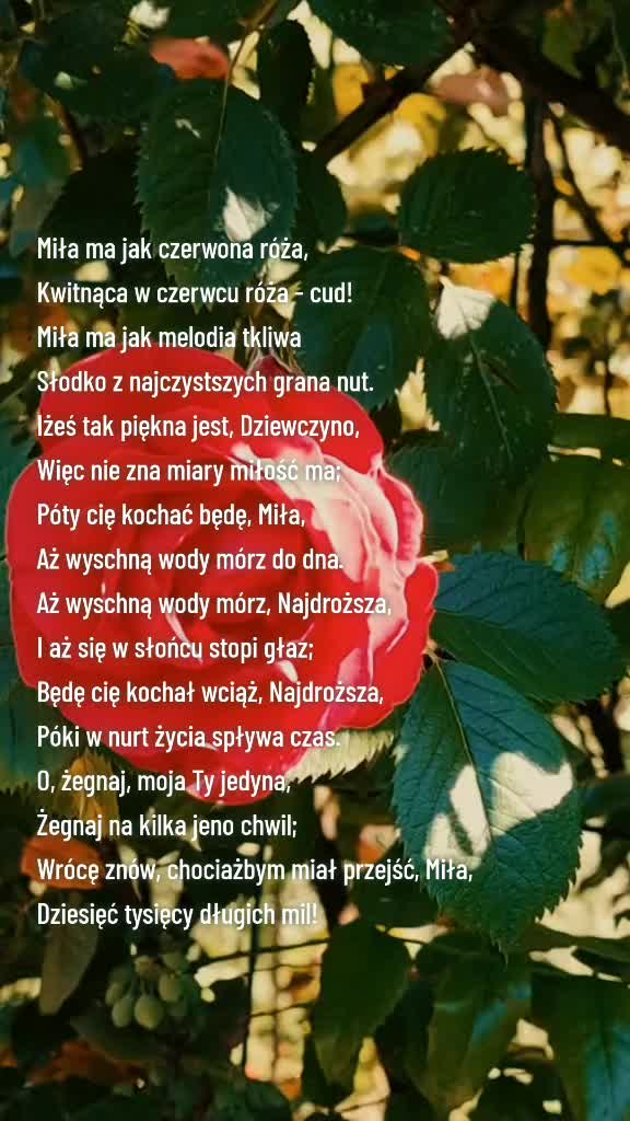 @Mirabelle
