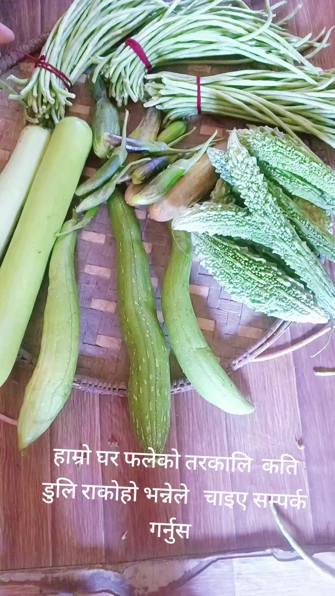 @purnakaladhakal4