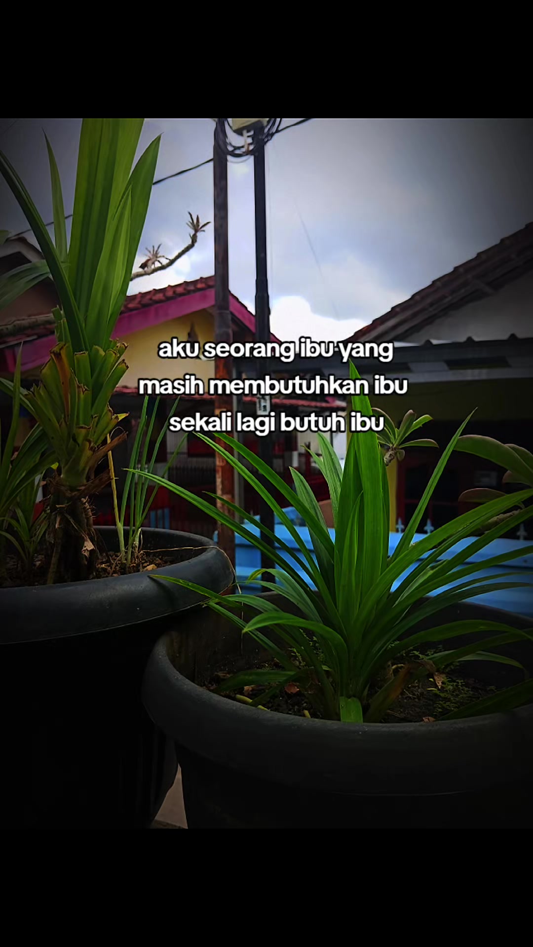 @Hi , aku ria
