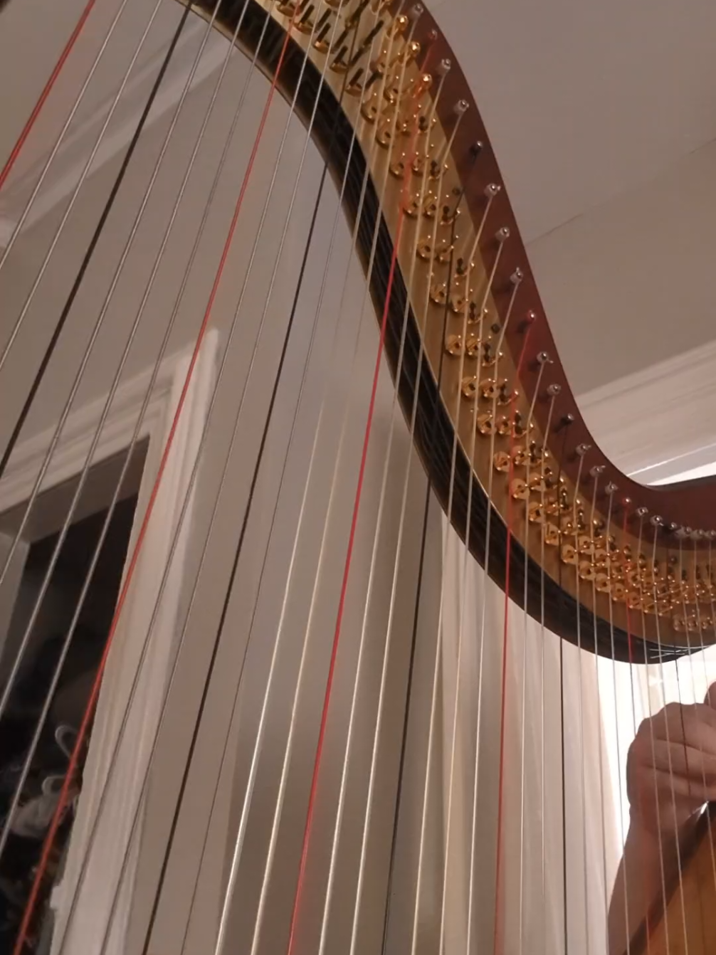 @Harpist Vanessa