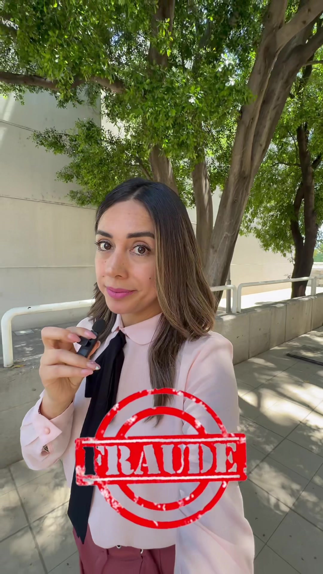 @Secretar&iacute;a de Seguridad y Paz