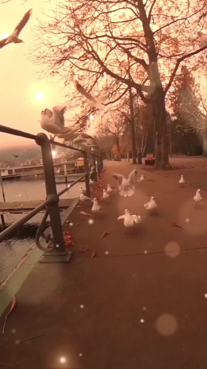 @Ayesha786