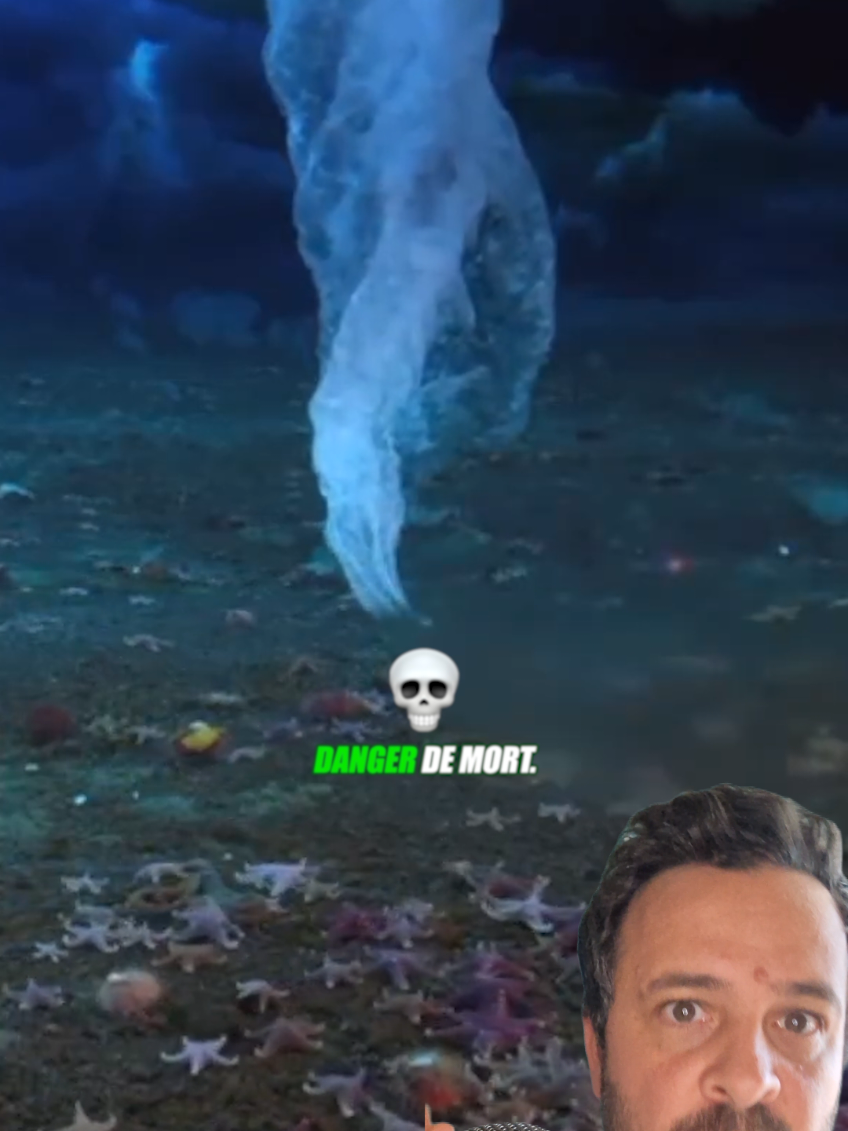@Vico-Le Savais tu ?
