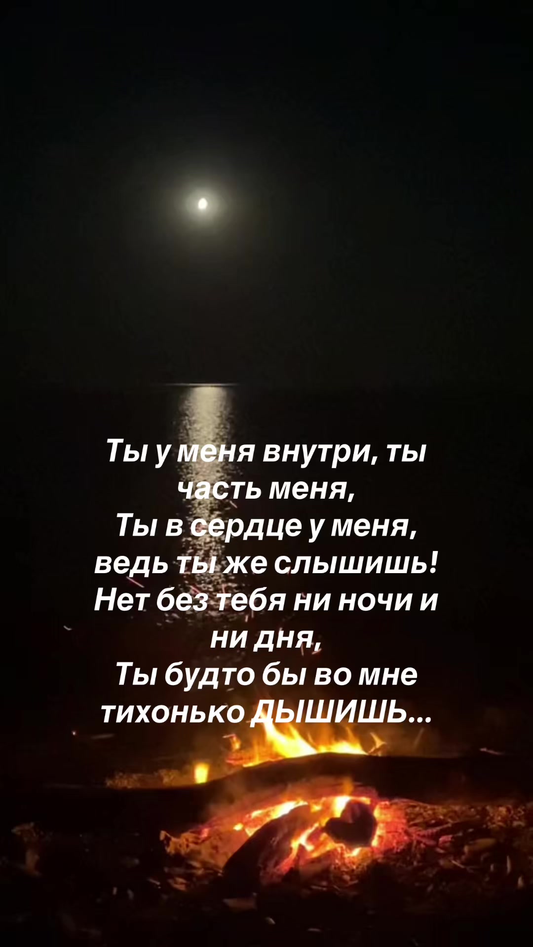 @ℍ𝕒𝕡𝕡𝕪 𝕨𝕠𝕞𝕒𝕟 🤍