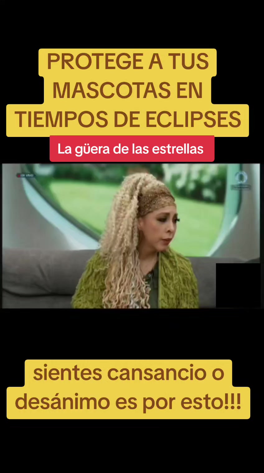 @MaryCarmen La G&uuml;era Oficial