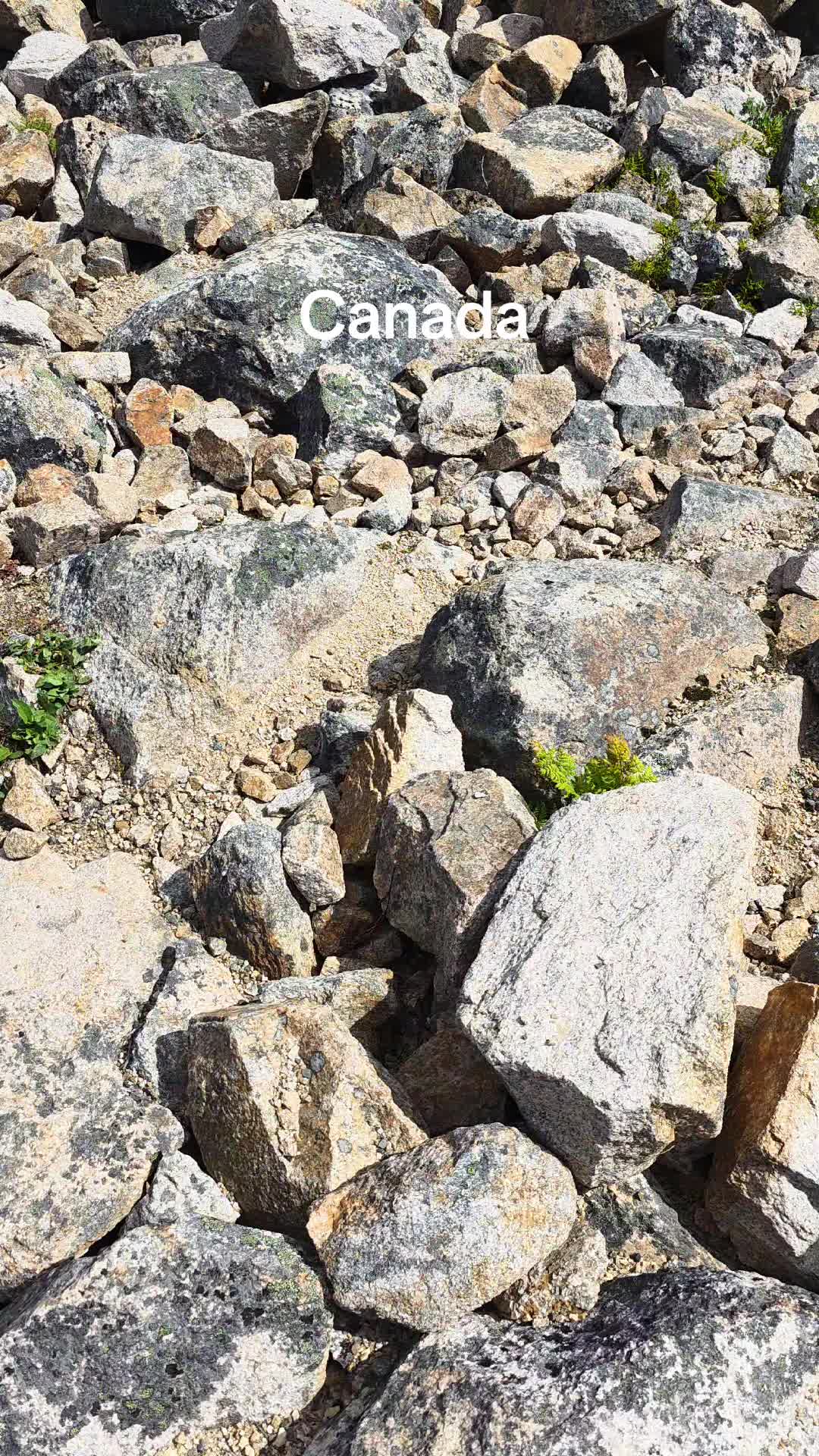 @Lost In Canada