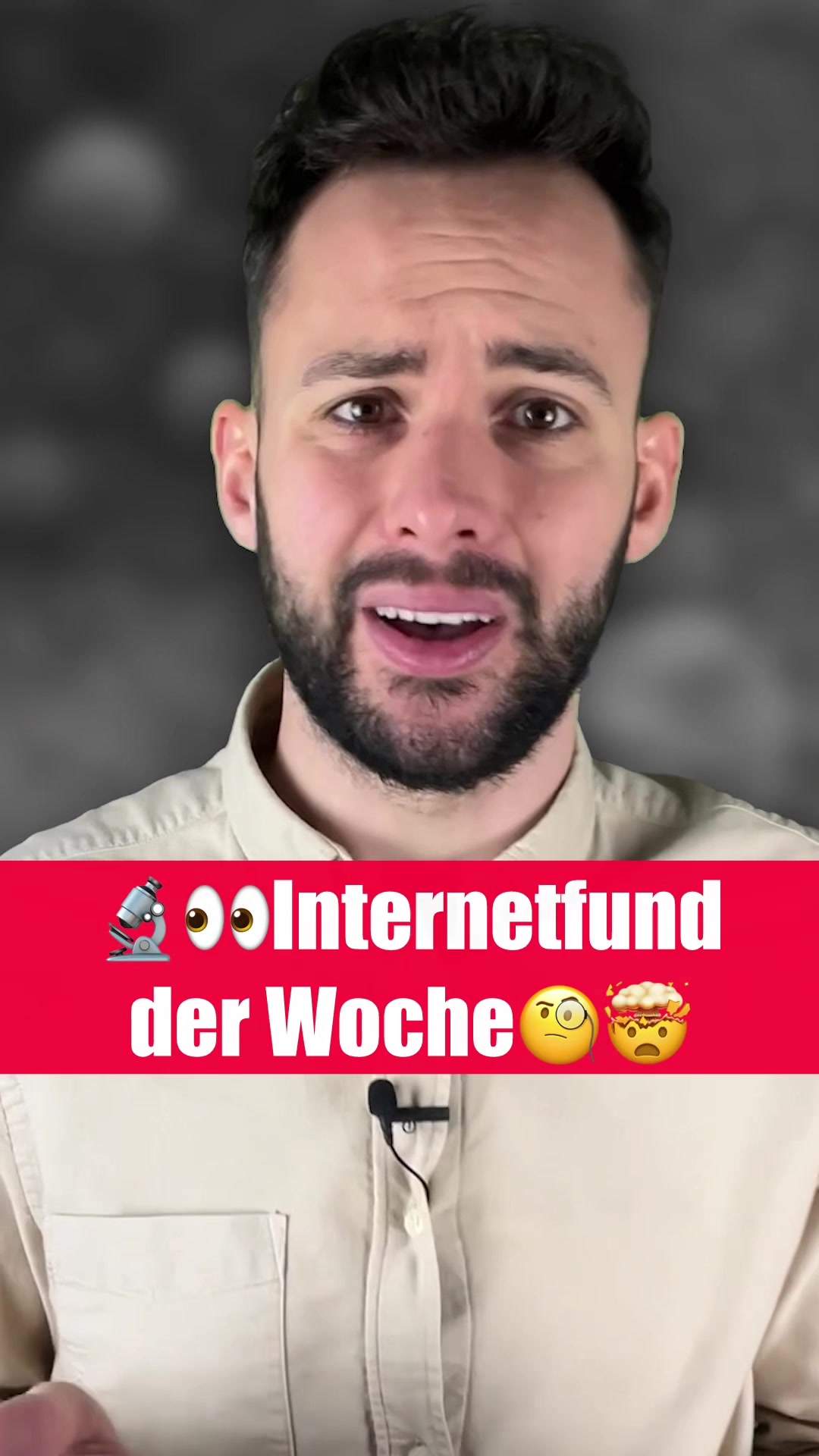 @wissensbert