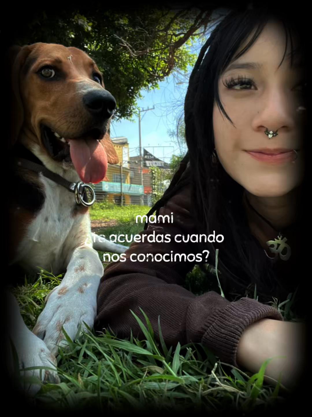 @_p.milii