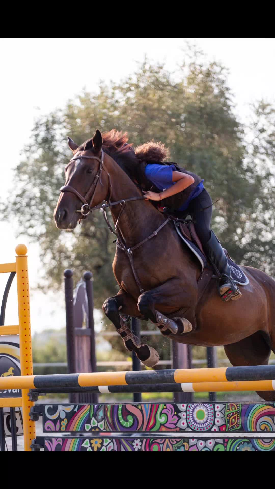 @haras de castille