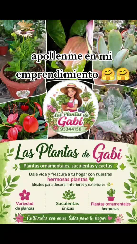 @ANA Granados