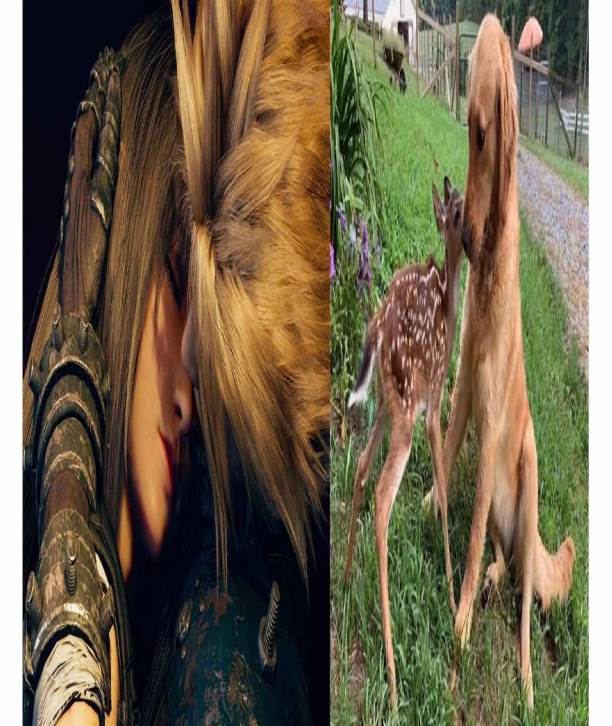@aeris (clerifa no.1 fan) .✦ ݁˖