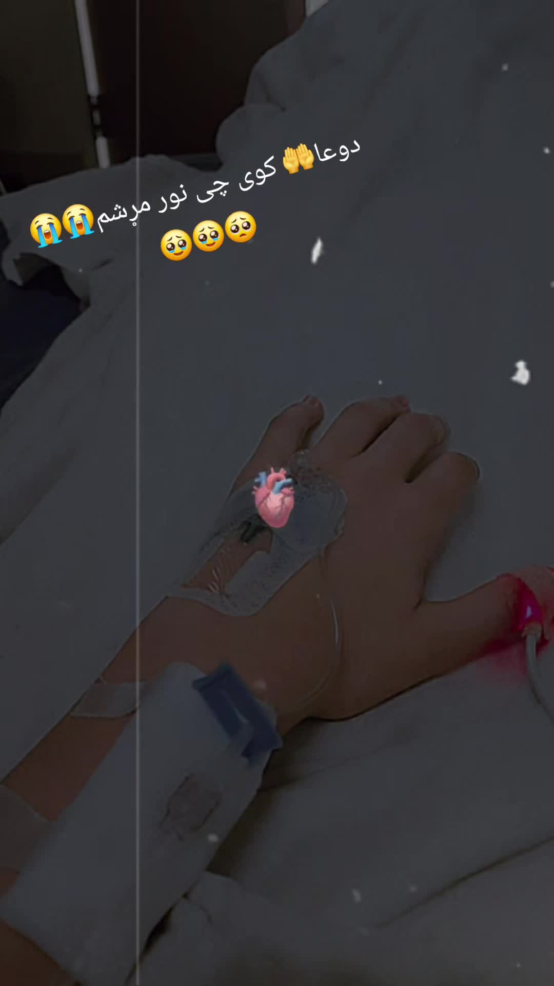 @𓆩◦•♡🫀مــر🫶ســــل🫀♡•◦𓆪