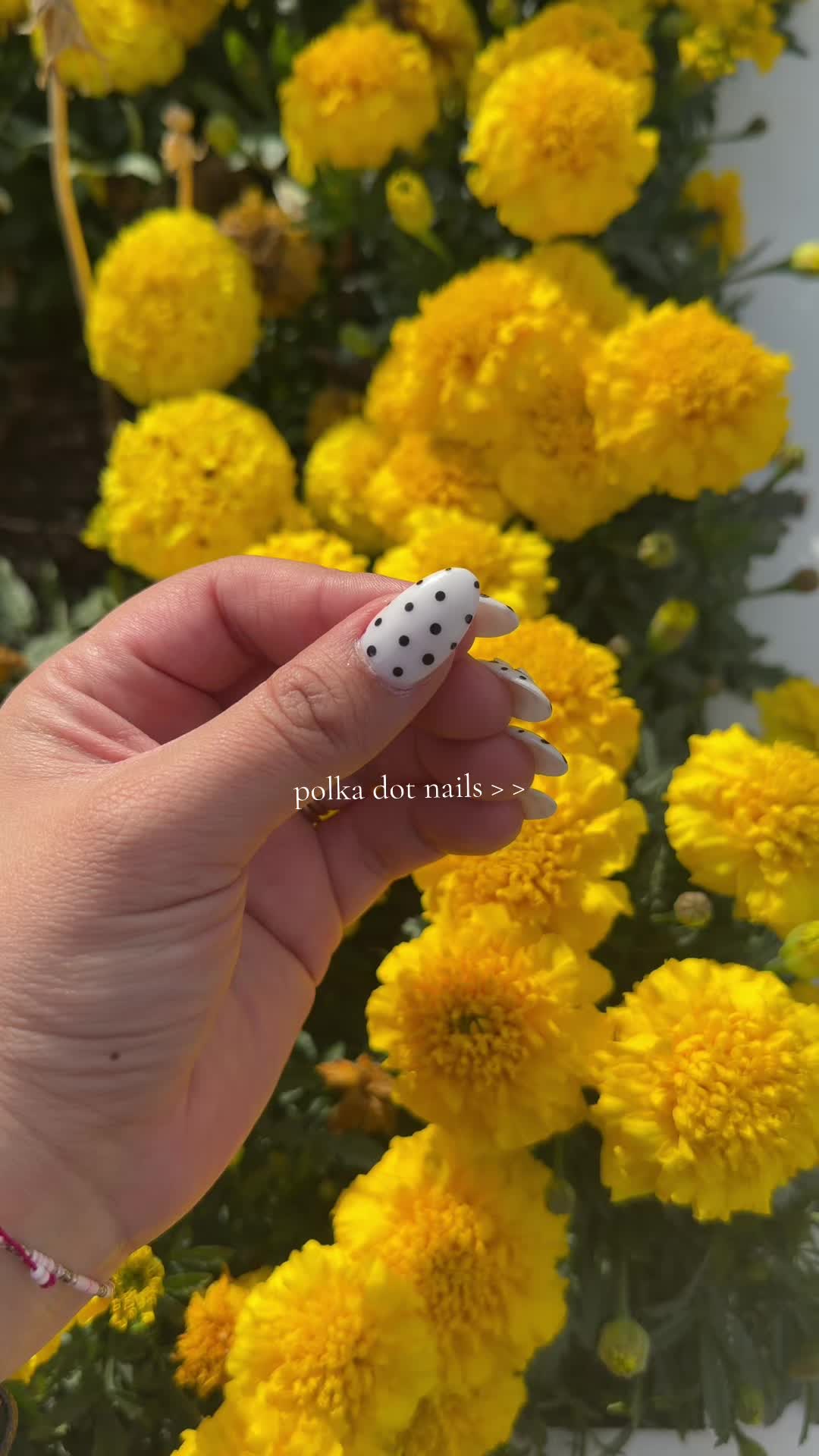 @a n d r e a 🌸