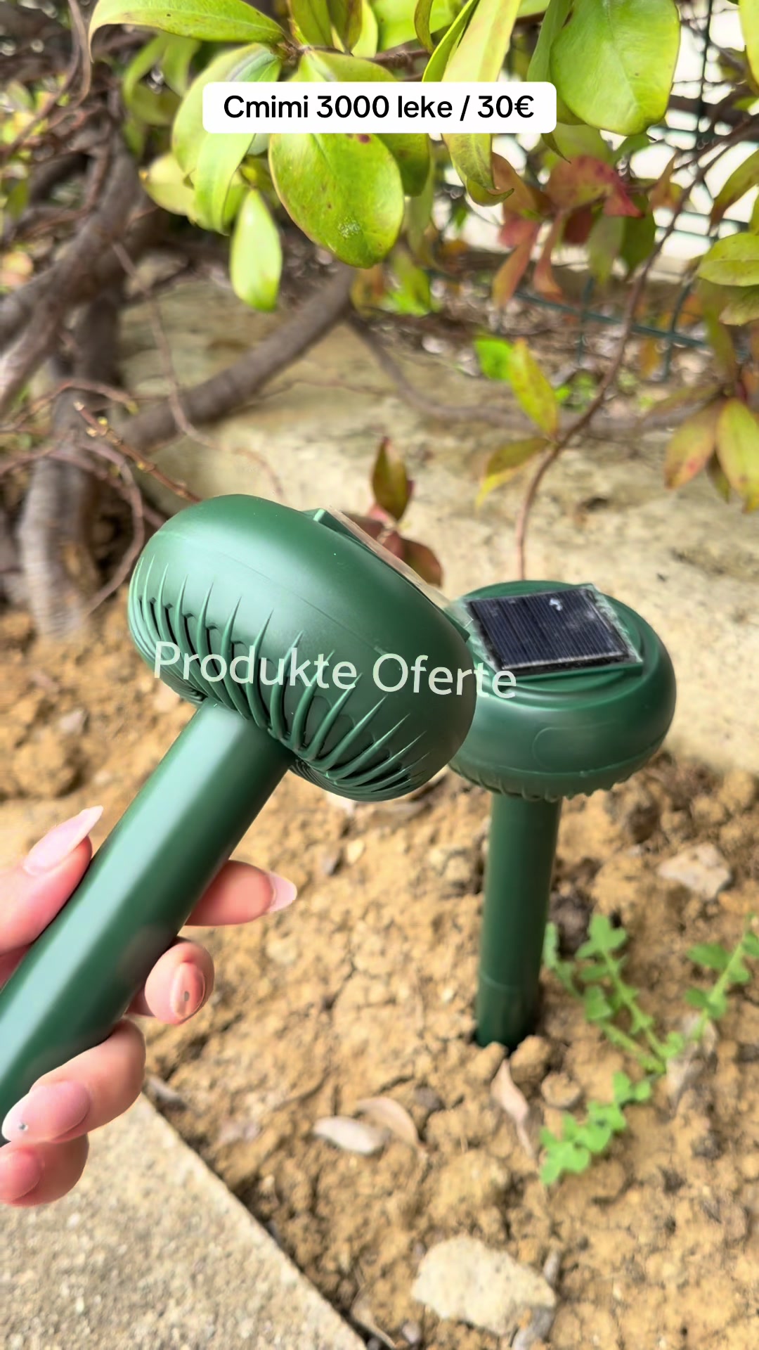 @Produkte Oferte