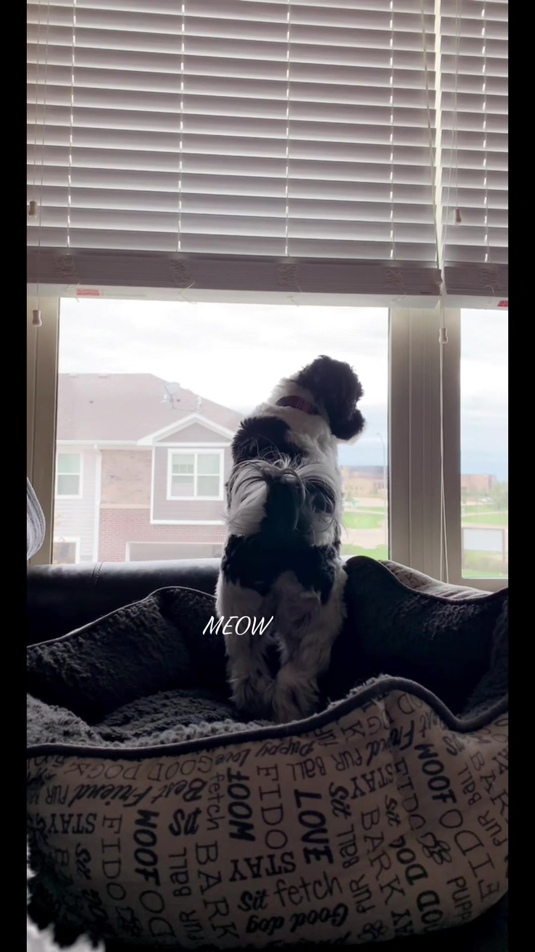 @Jenna Rose | Home