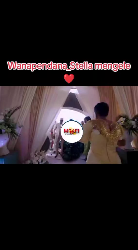 @MSAFI TV💫ONLINE