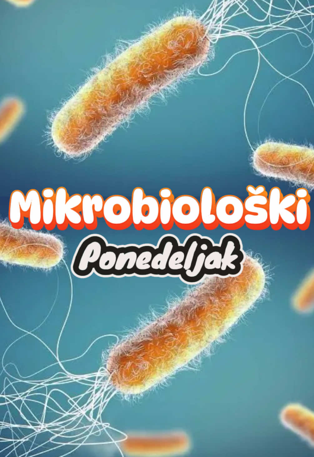 @Marija 👩🏻🔬