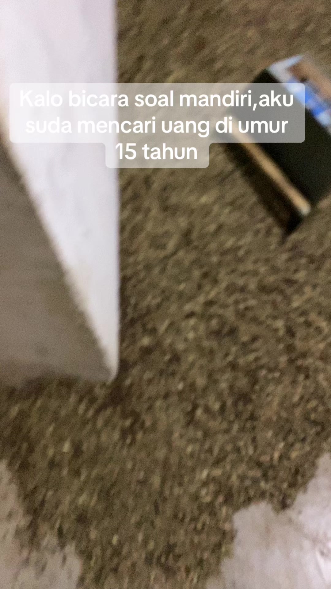 @Pajrul Pala
