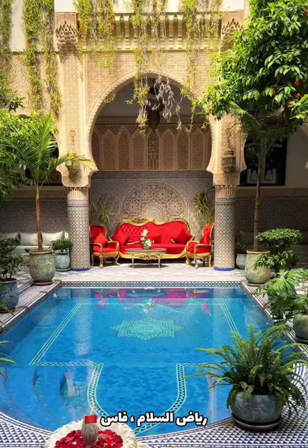 @محمد