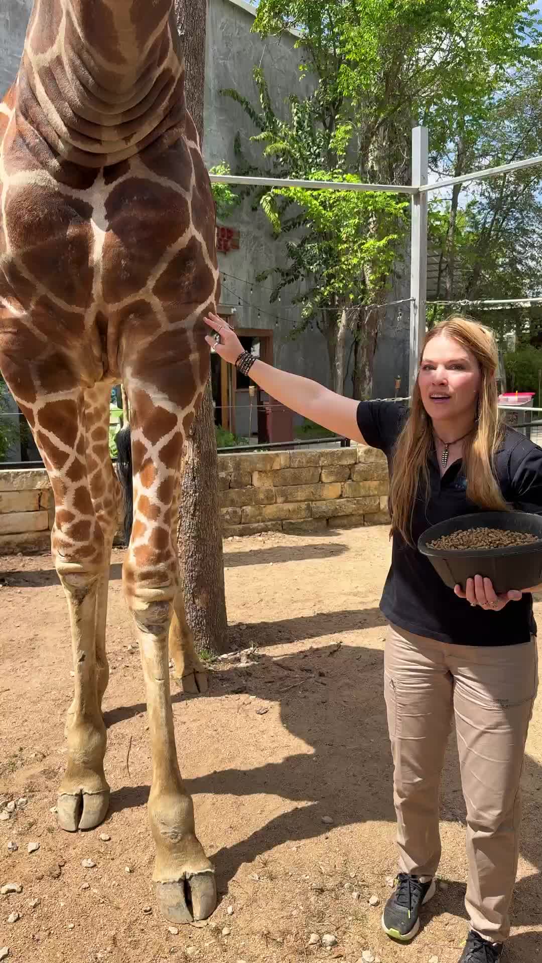 @San Antonio Aquarium