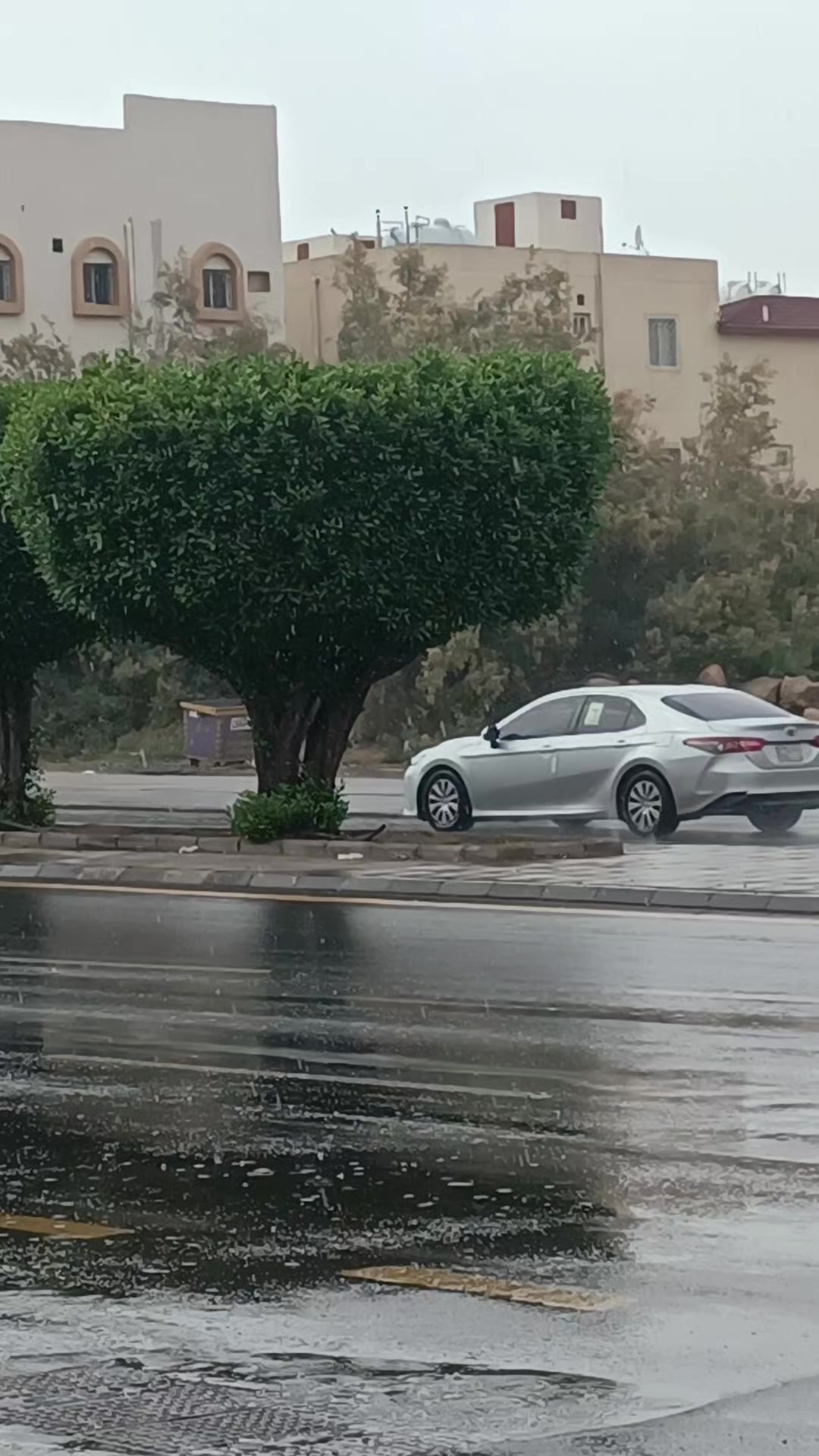@عبدالكريم بن علي