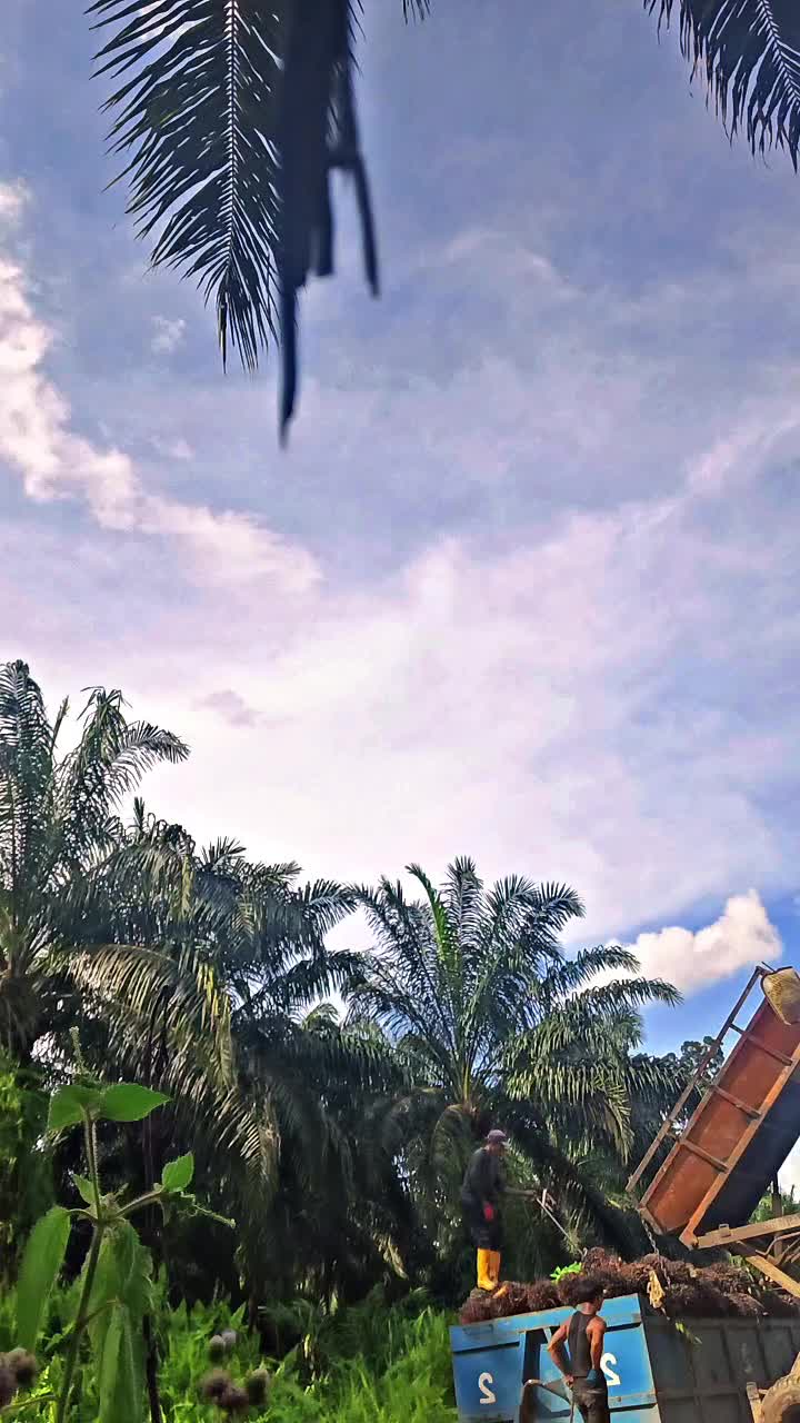 @27℅