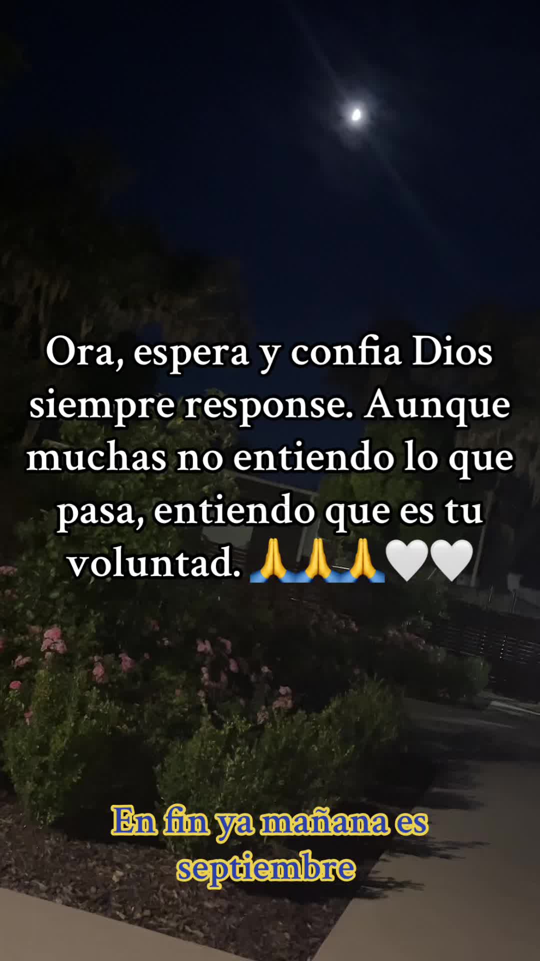 @⚜️Marcelino Diaz🫶🍃🍃🌖🇲🇽