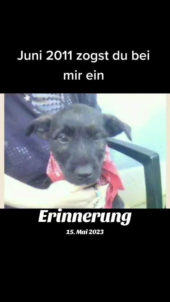 @Maya und Hexe 💔🌈