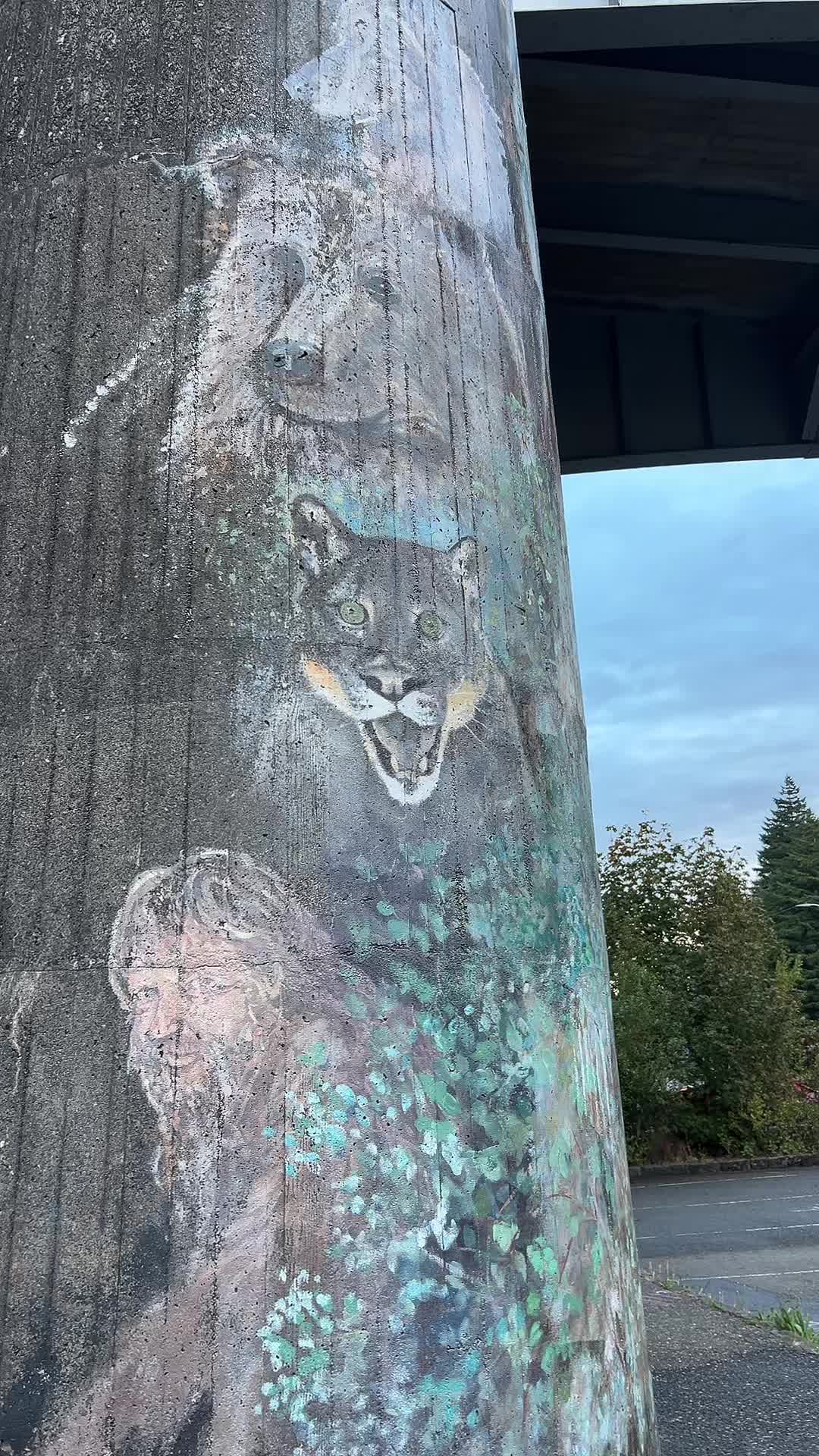 @🦊