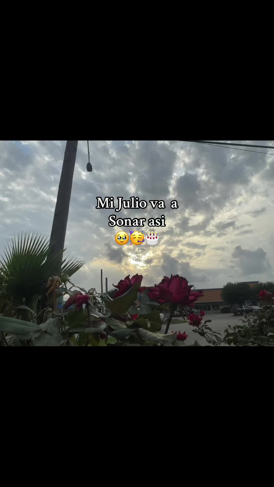@🍓🦋_ItsLiri_🌷🌸
